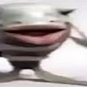 GonnerZM