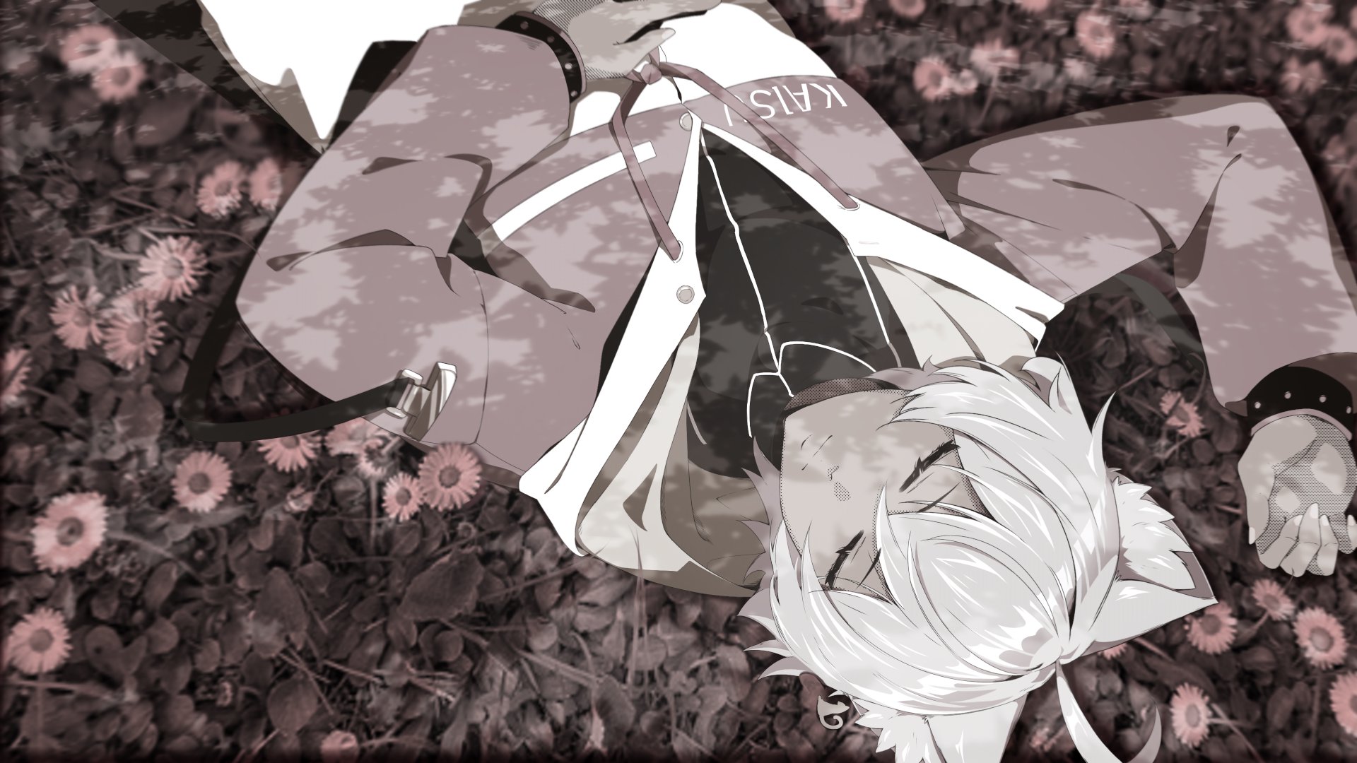 Kaisukae Offline Background
