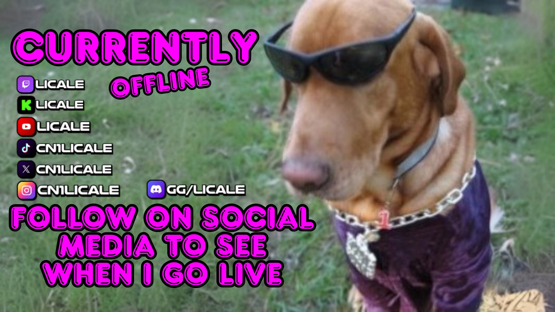 Licale Offline Background