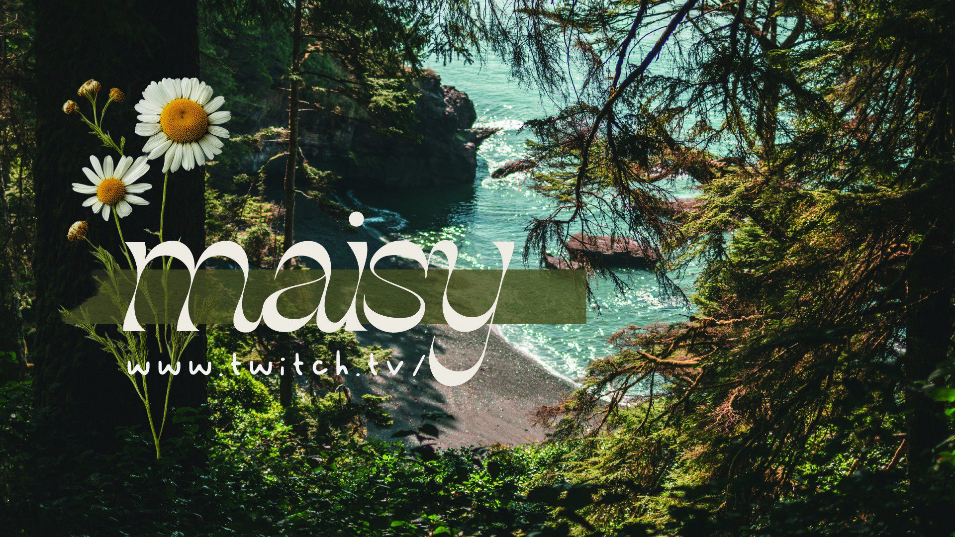 maisy Offline Background