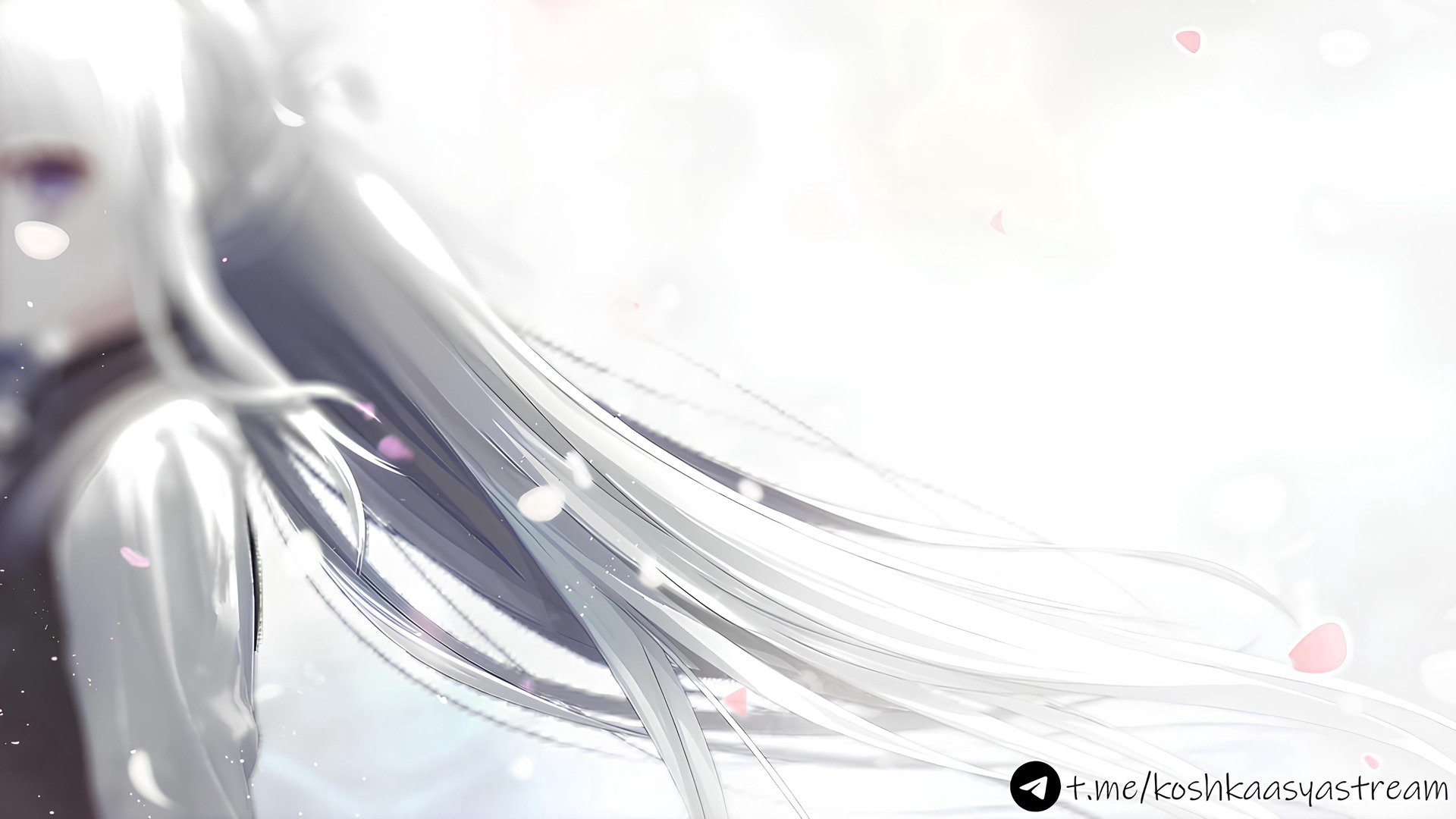 Koshkaasya Offline Background
