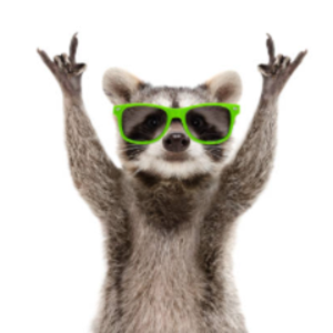 raccoonn26