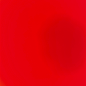 pashok_012