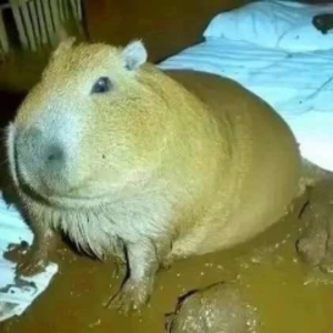 fernuk_