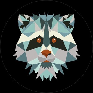 9racoon5