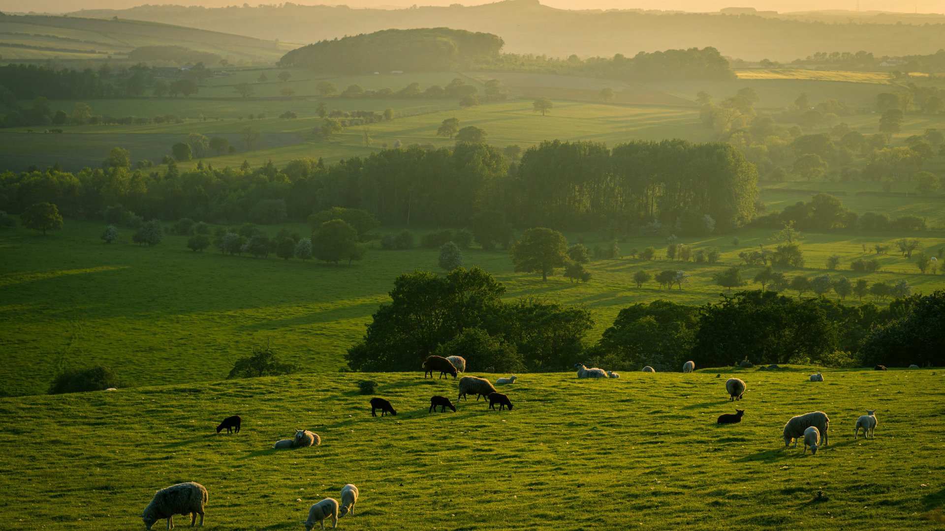 HanaoVT Offline Background