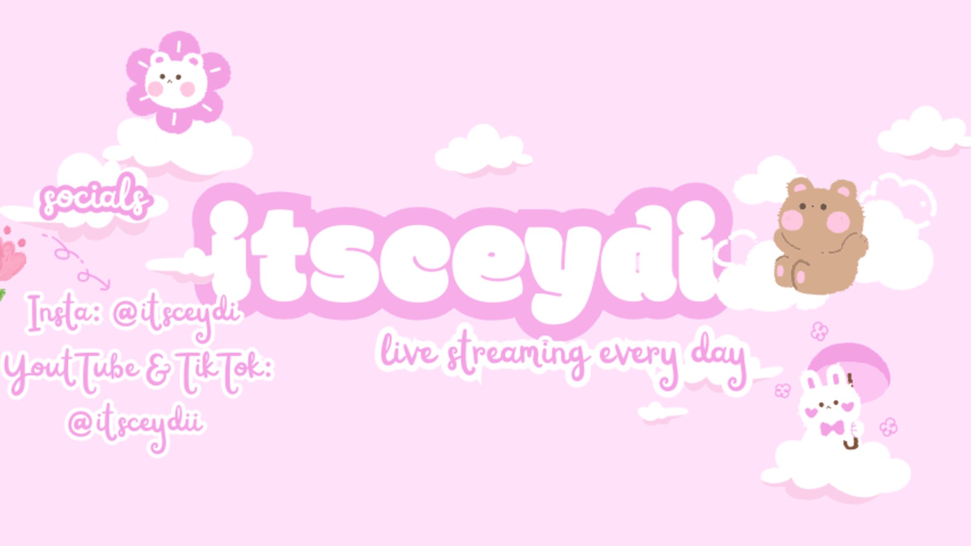 itsceydi Offline Background