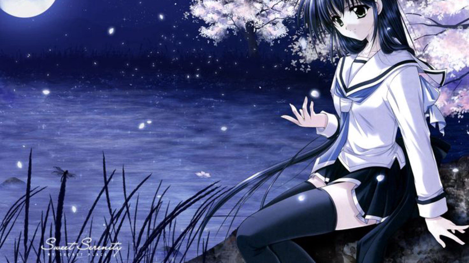 ria_l Offline Background