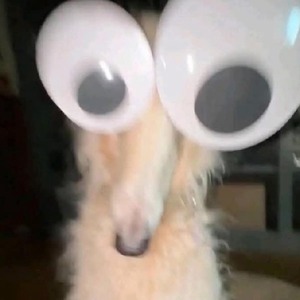 aaron_32465