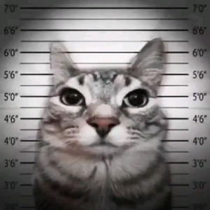 ECK_of