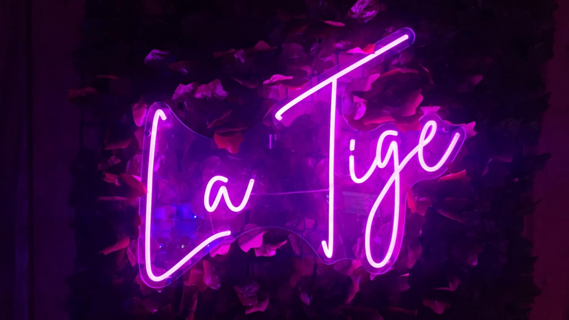 LaTigeMagique Offline Background