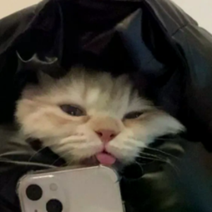 emre_chocoloco