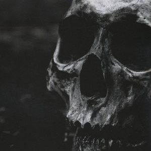 AcTivexSkuLL