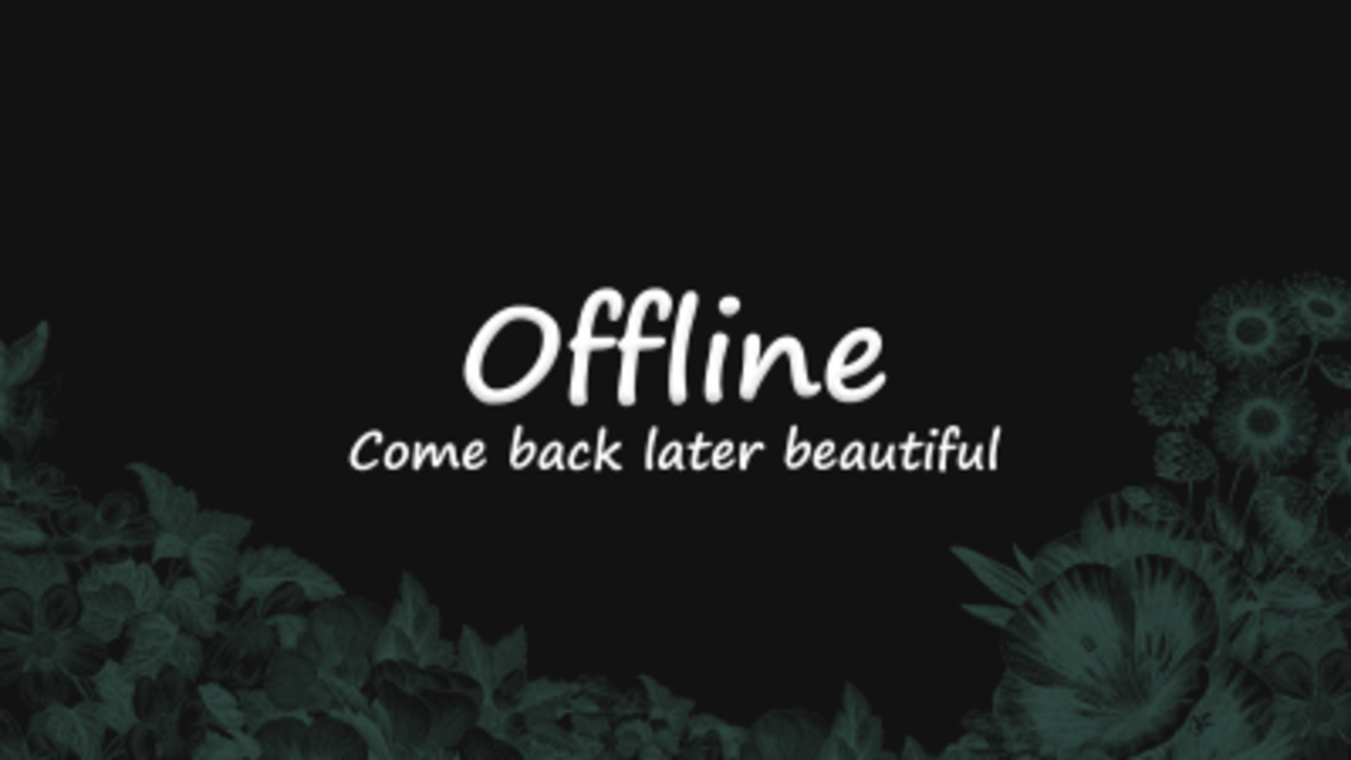 alpacasita Offline Background