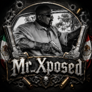 mr_xposed