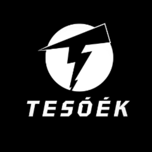 Tesoek