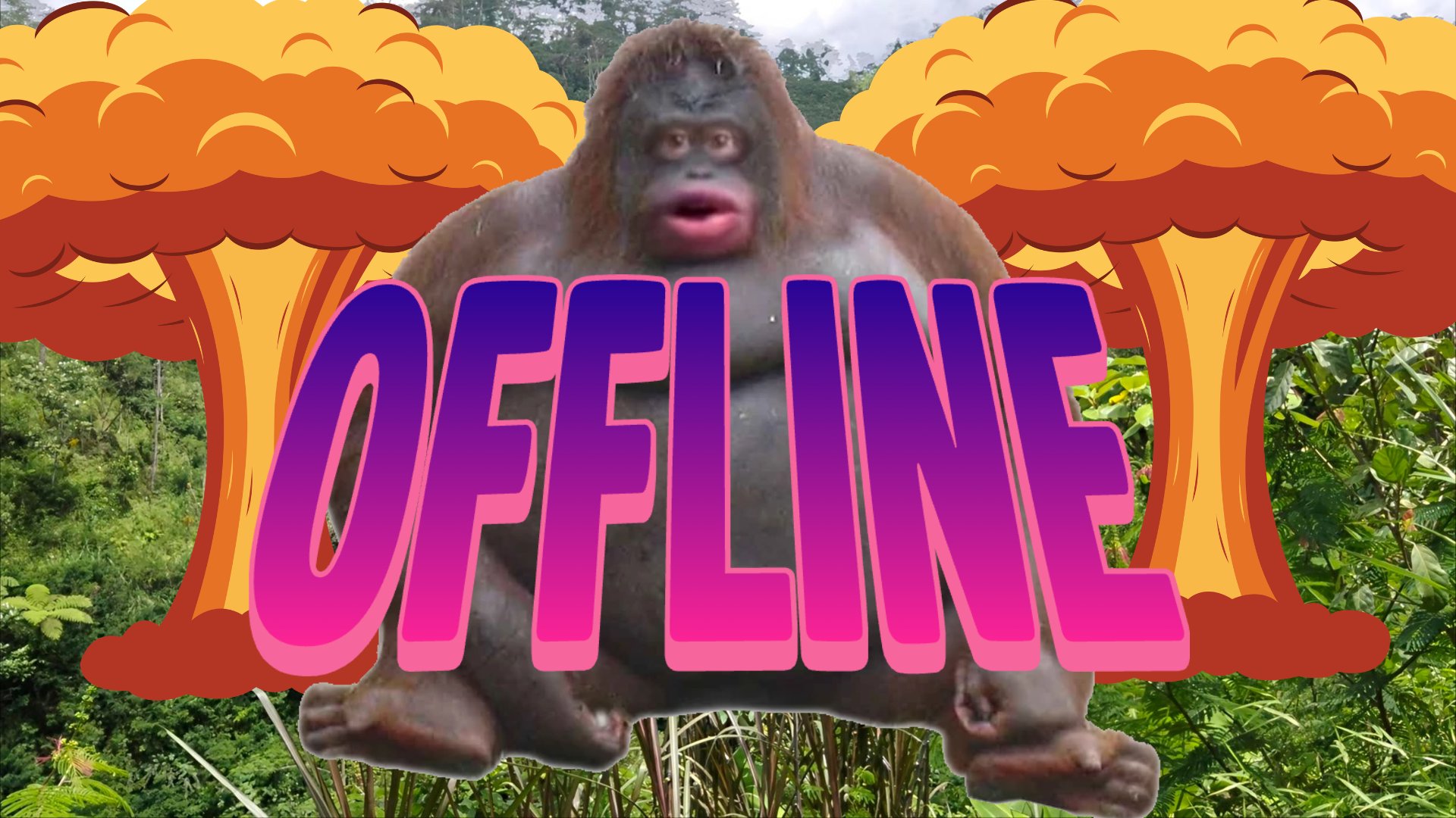 Toonchie Offline Background