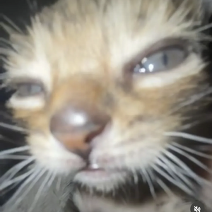 ikubyy