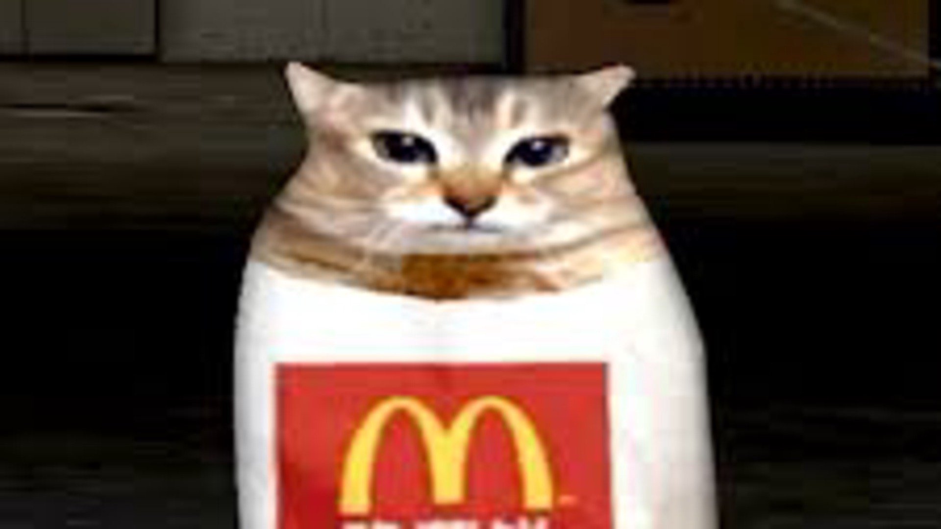 Khajiit1k Offline Background