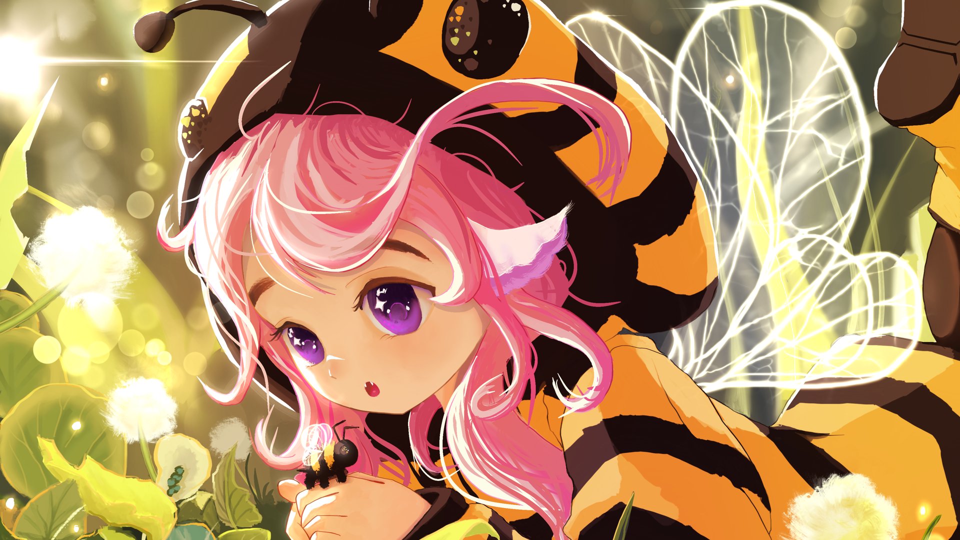 Miss_Court Offline Background