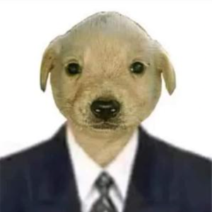 robertogamercort