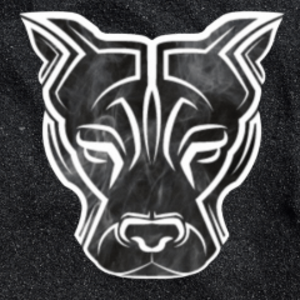 BigDog_Q