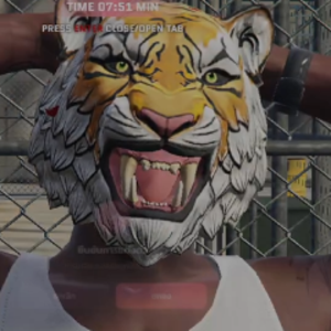 Tigertvx2