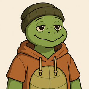 TokaTheTurtle