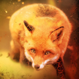 Fieryfoxz