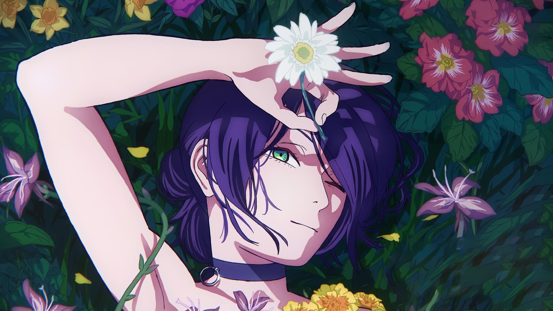 _蝦蝦 Offline Background