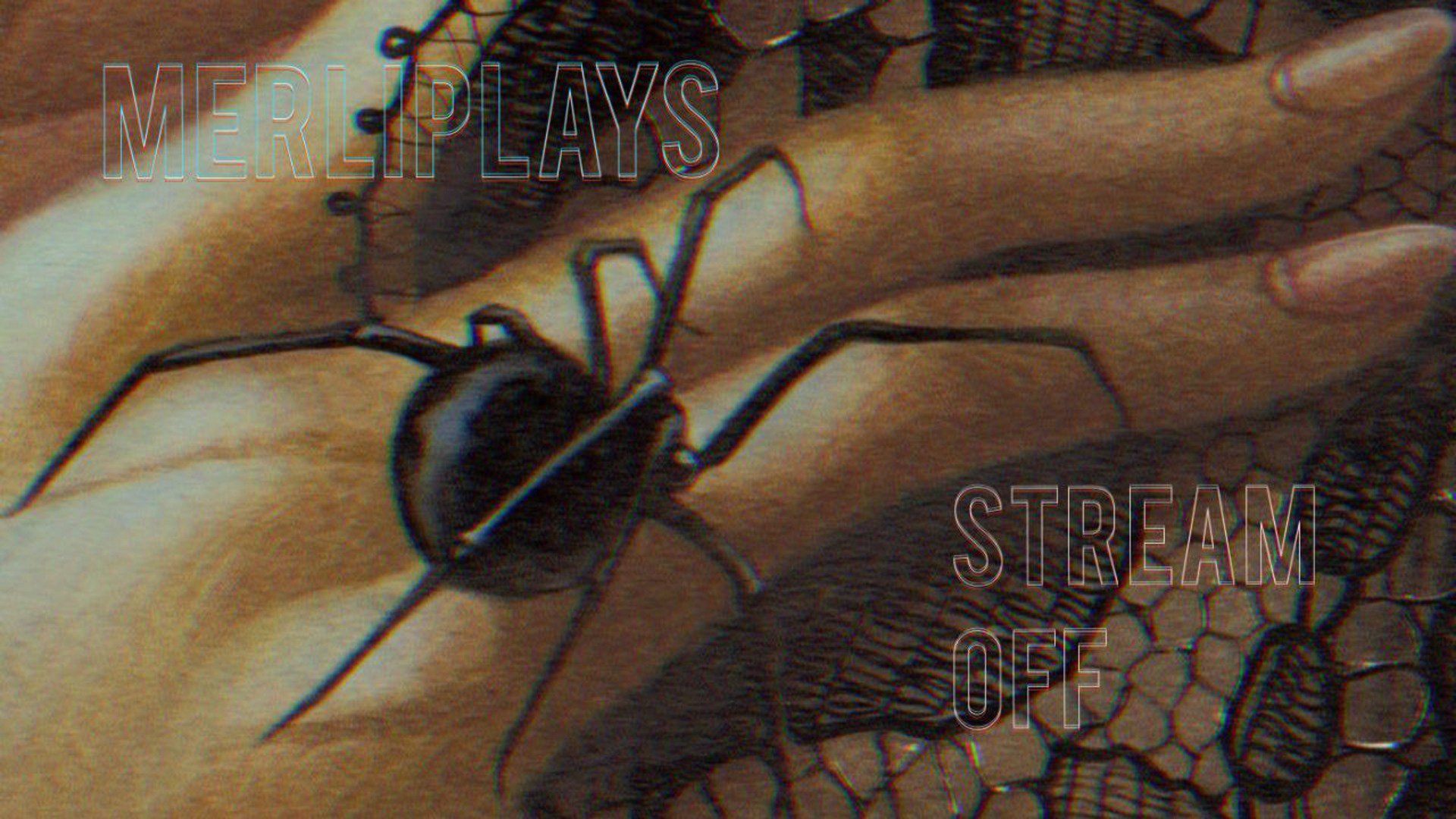 MerliPlays Offline Background
