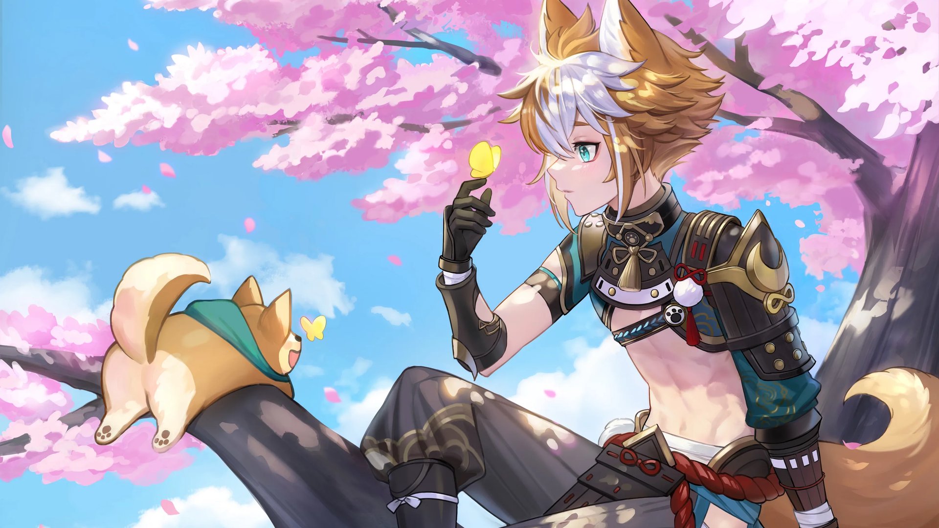 sswo1f Offline Background