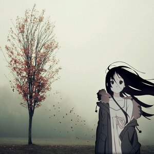 NemonFly