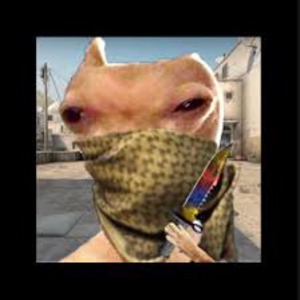 sussywinner