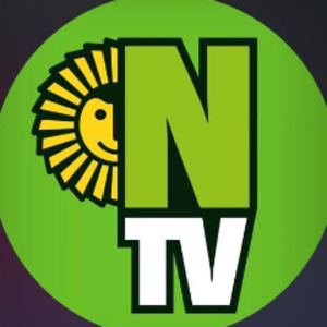 nortetvok