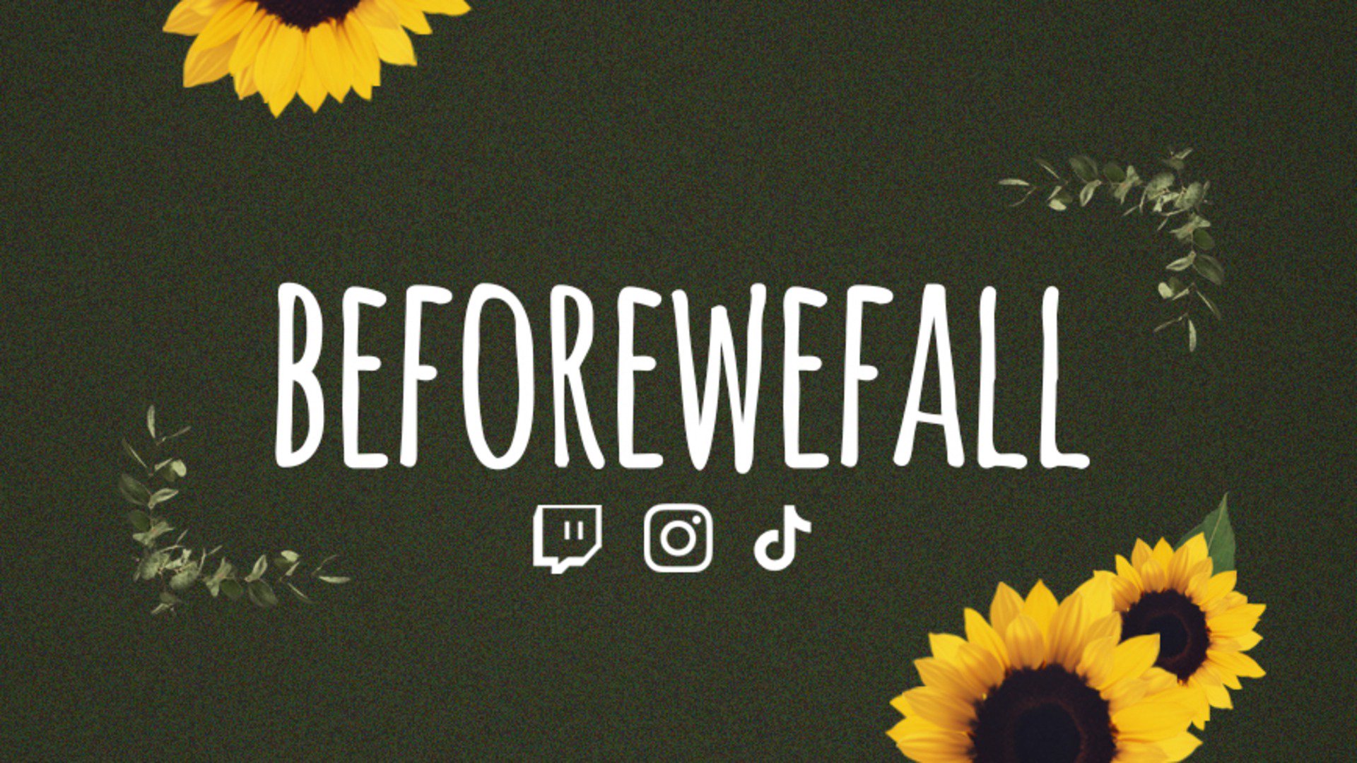 SWE_Beforewefall Offline Background