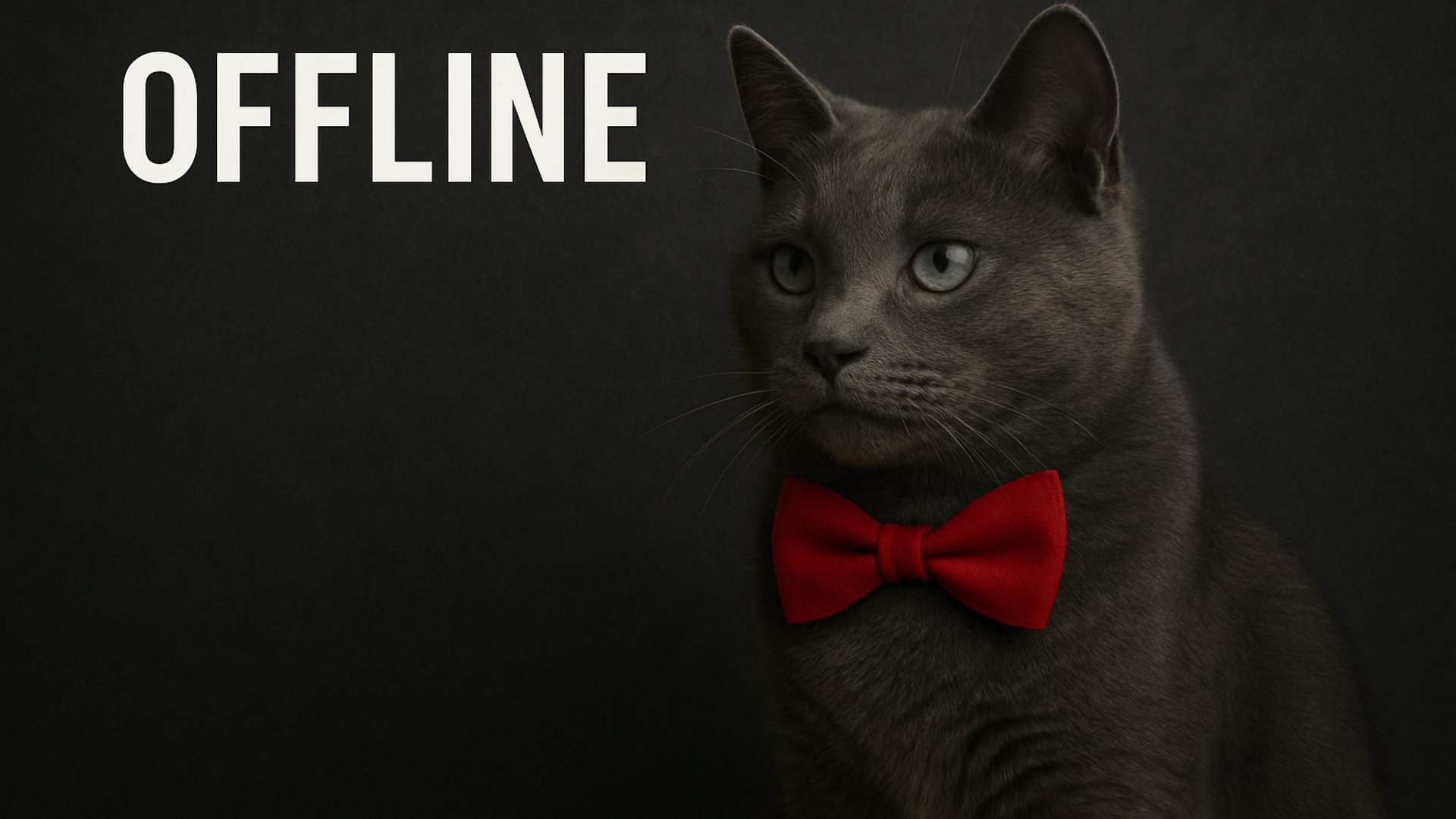 CinisMiau Offline Background