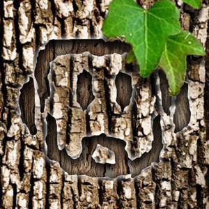 Arboriatum