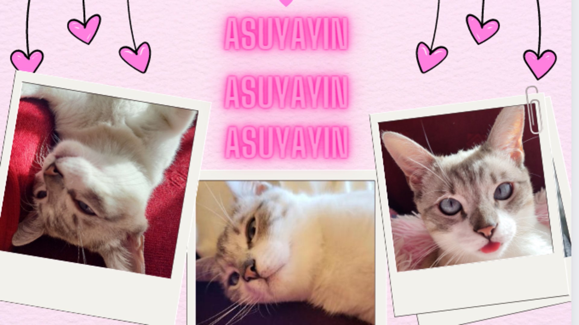 AsuyaYin Offline Background