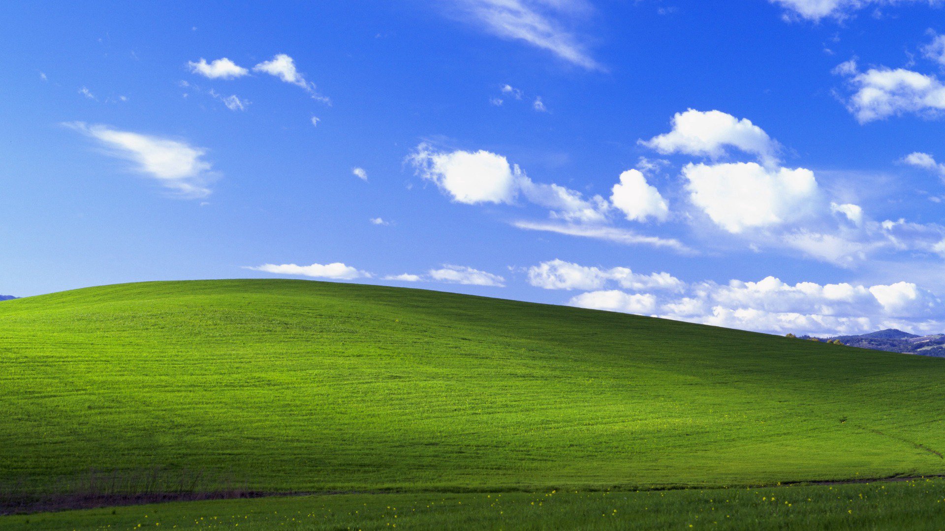 kalabaza_owo Offline Background
