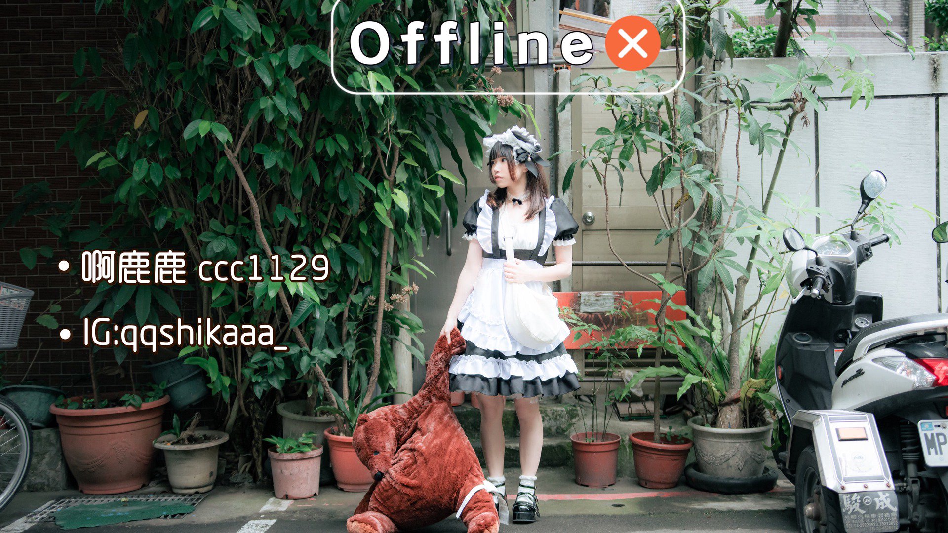 菁澪です Offline Background