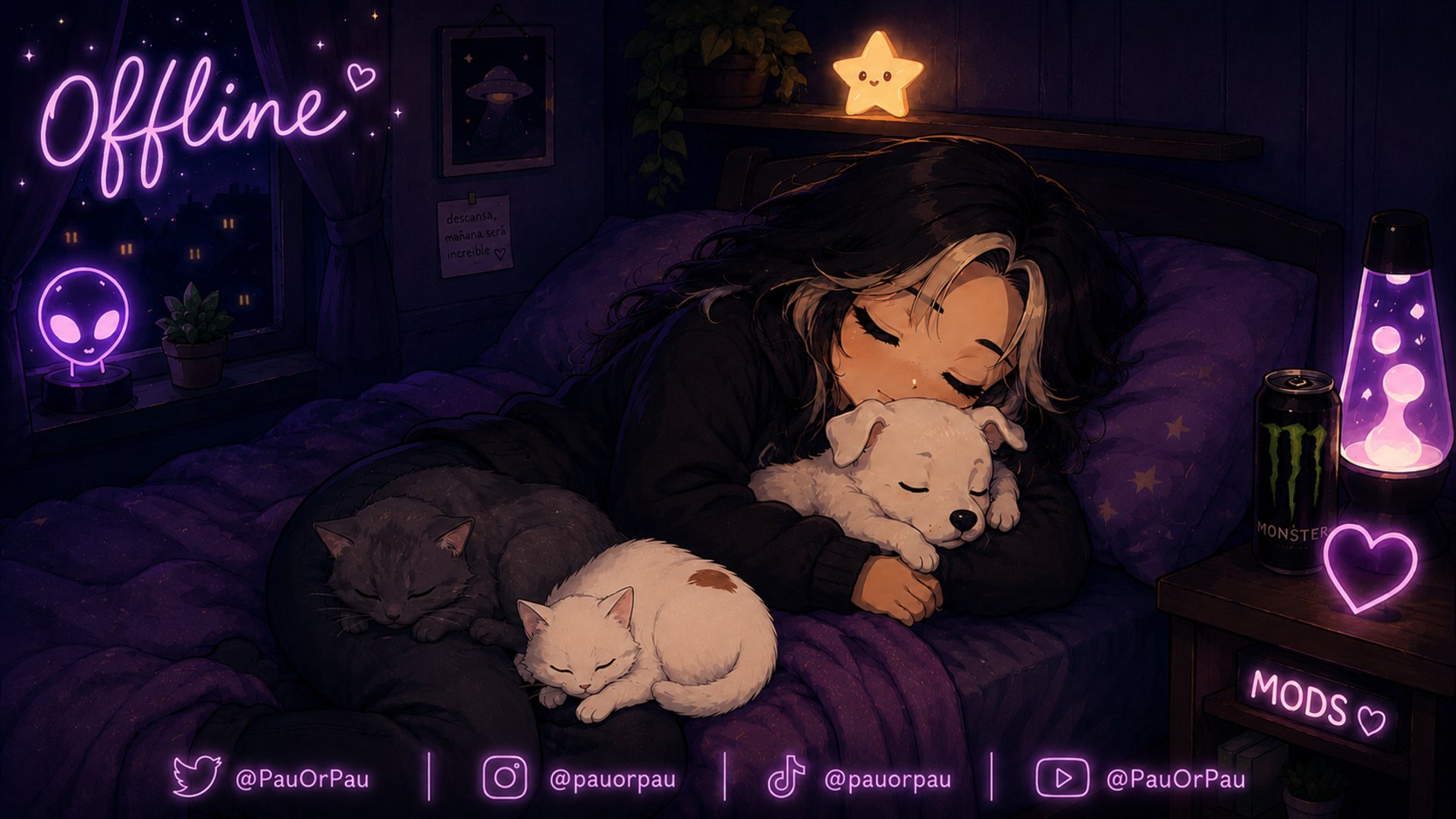 PauOrPau Offline Background
