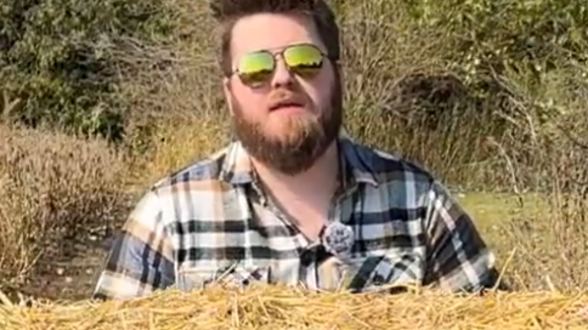 davey Offline Background