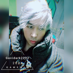 Gavidark222