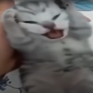 micke2k
