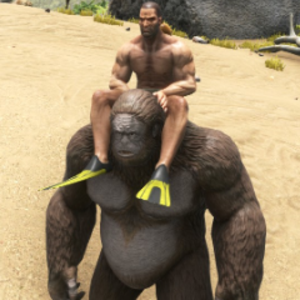 redbeardrecedinghairline