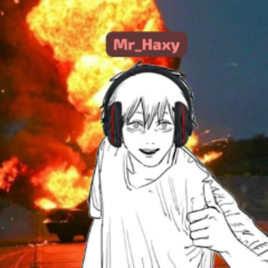 Mr_Haxy
