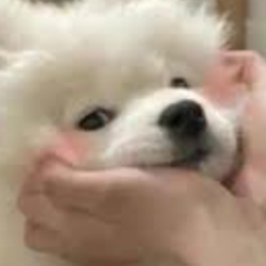 SAMMYMIFY
