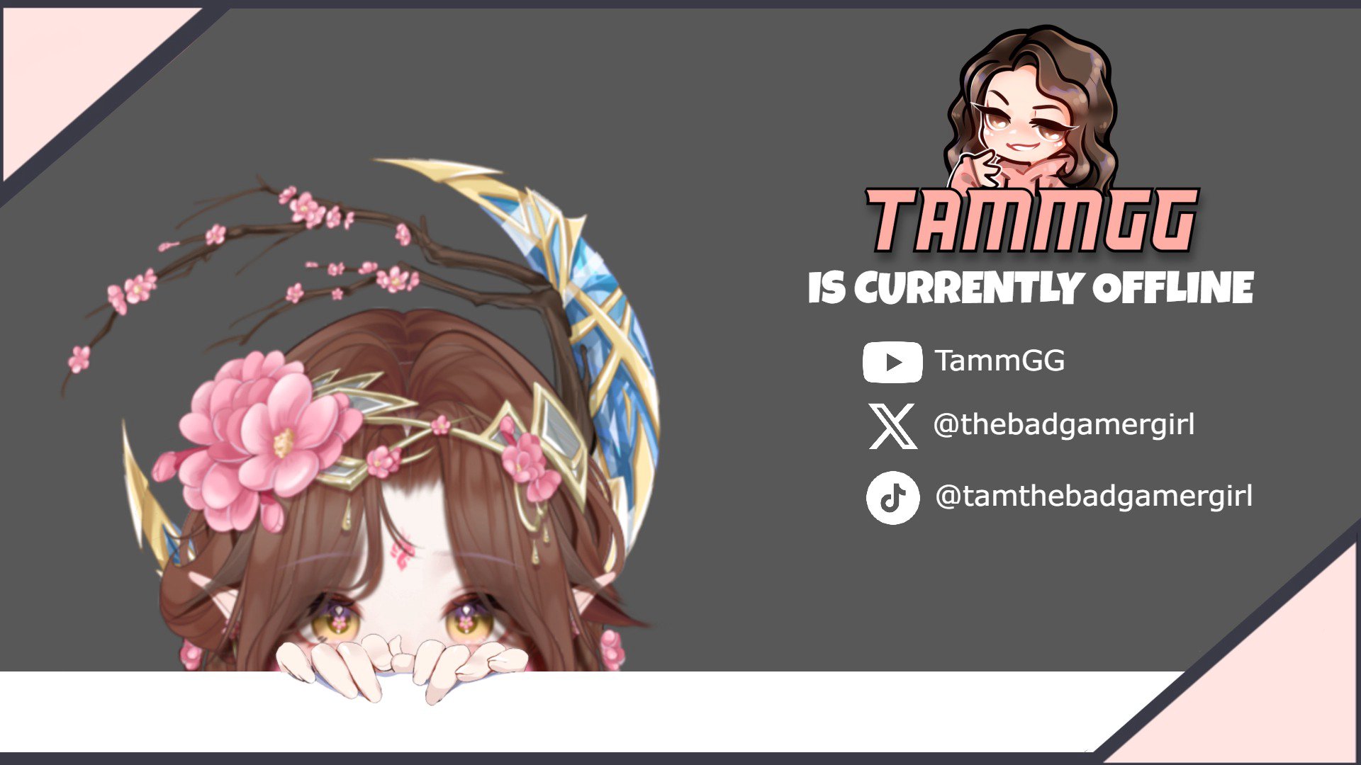 TammGG Offline Background