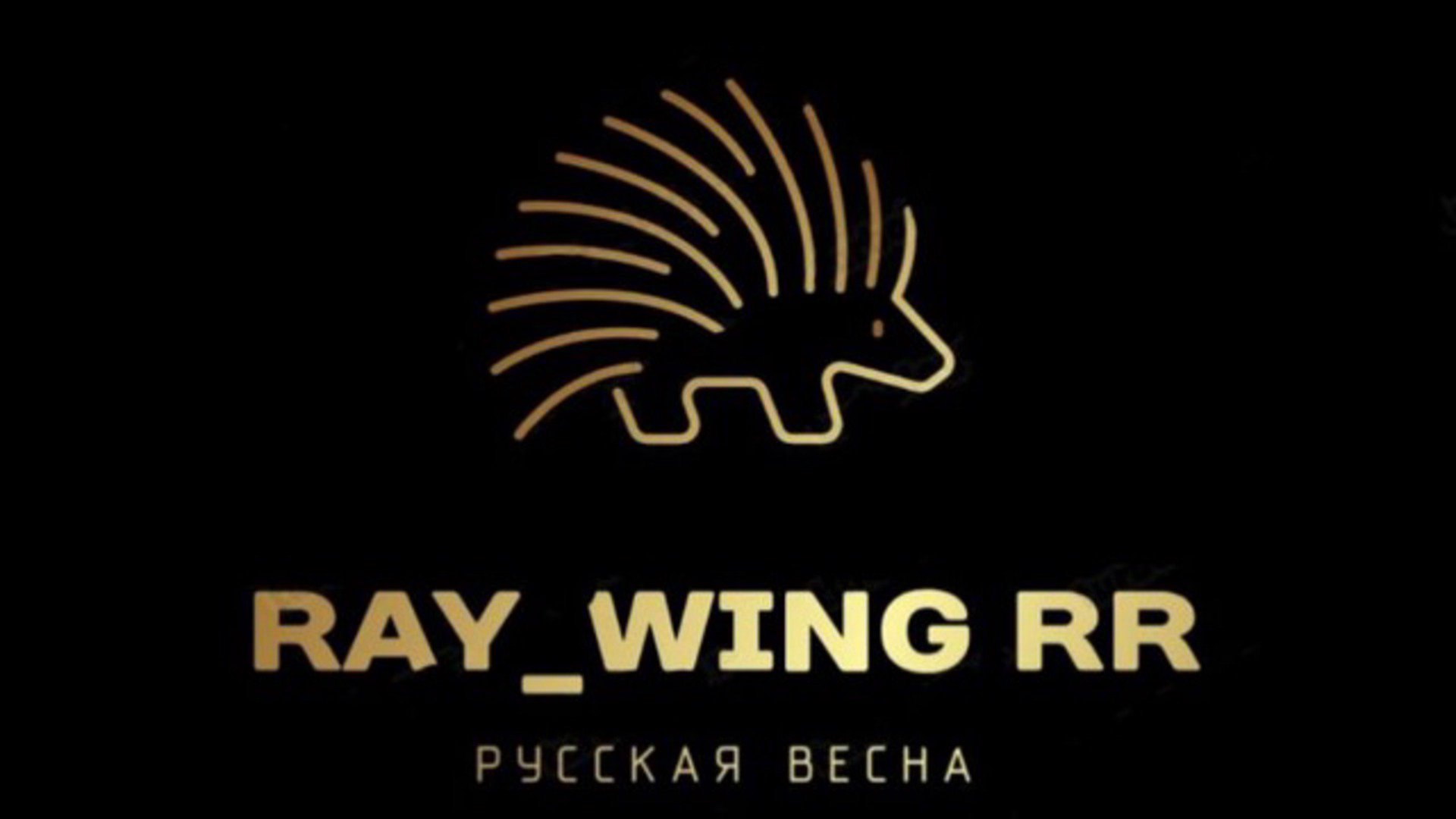 Ray_Wing_RR Offline Background